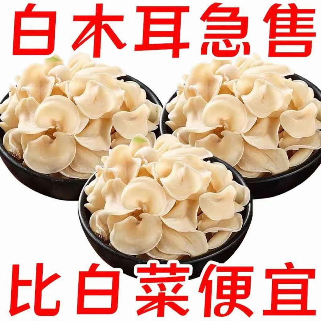 【到手一斤】长白山白木耳严选东北木耳菌