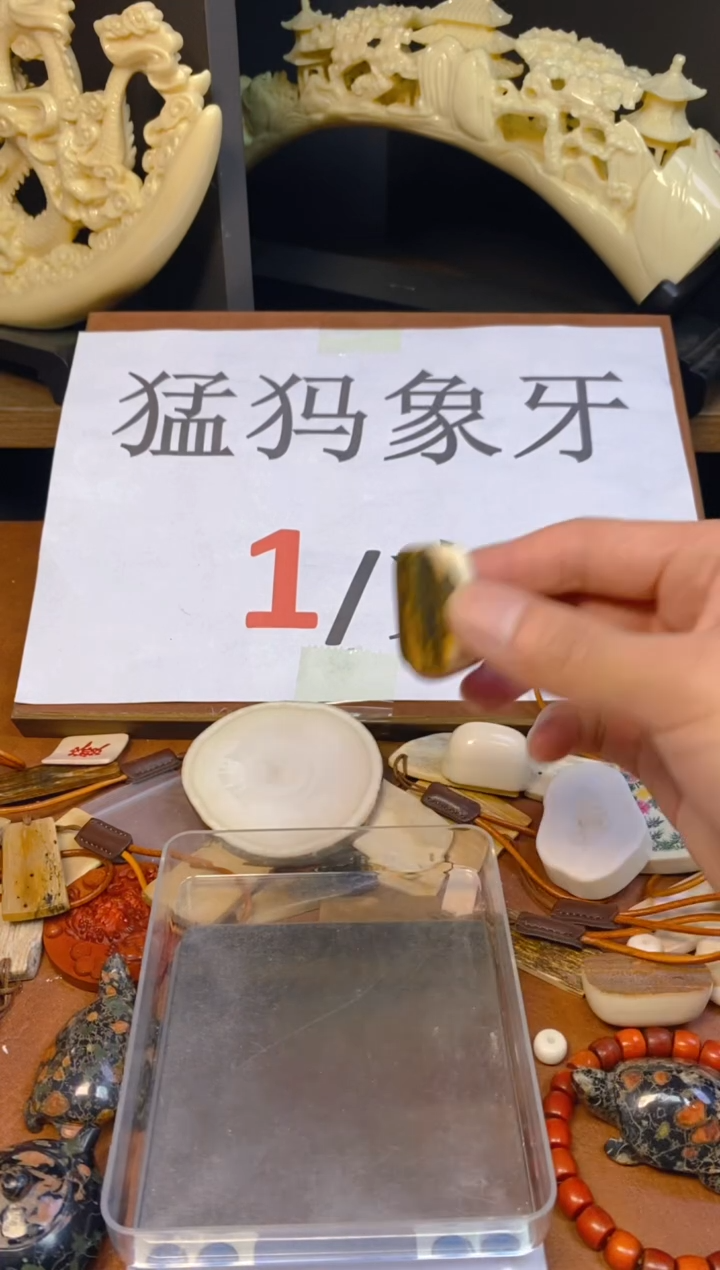 猛犸肥皂块蓝皮+++++