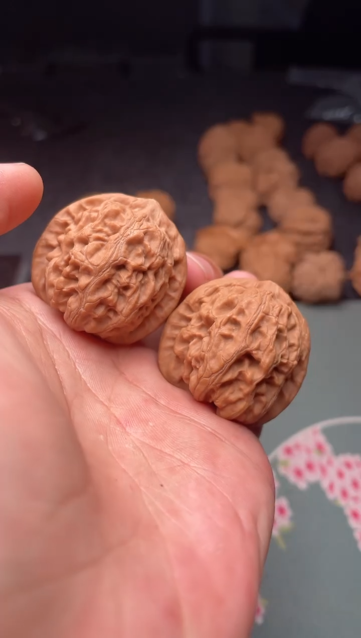 把件文玩核桃a260  龙脉 37尺