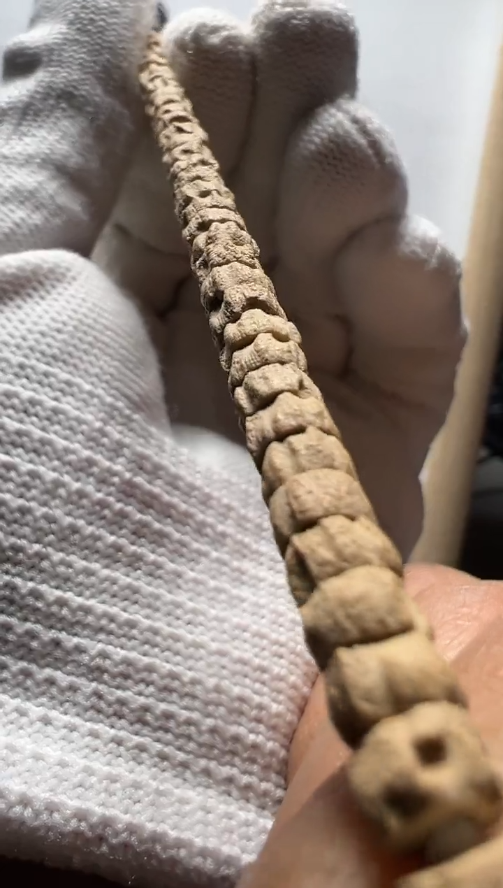 【闪购商品】柏香籽/百香籽吊坠Z023