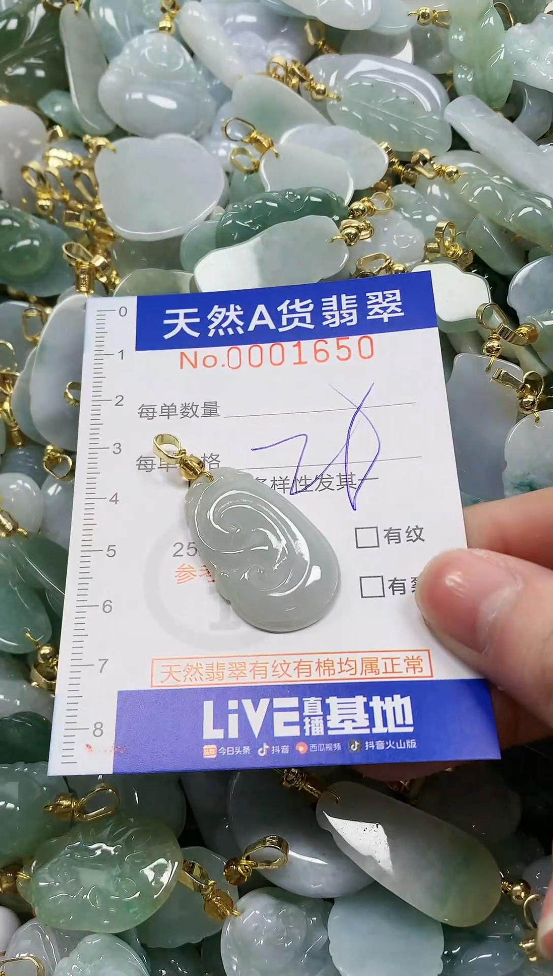 颈饰未镶嵌翡翠纯天然a货翡翠