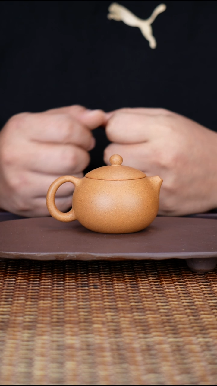 茶壶紫砂汀禾紫砂《西施》