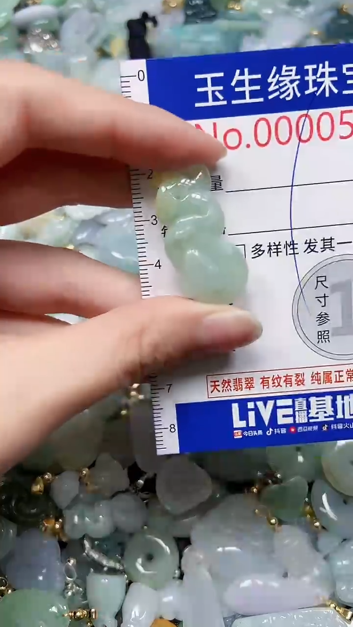 【闪购商品】翡翠颈饰未镶嵌闪购0000578