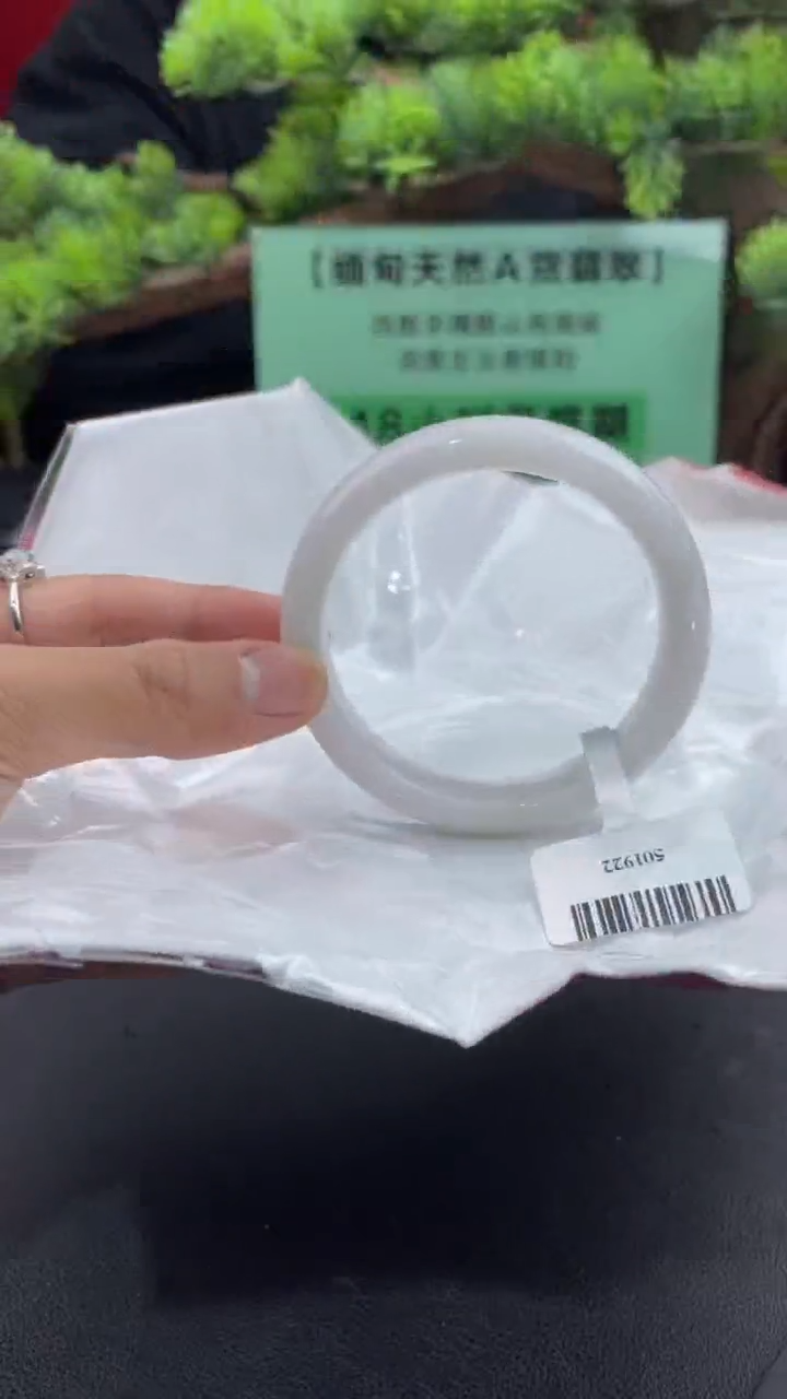 【闪购商品】翡翠手镯未镶嵌翡翠手镯（微瑕）22
