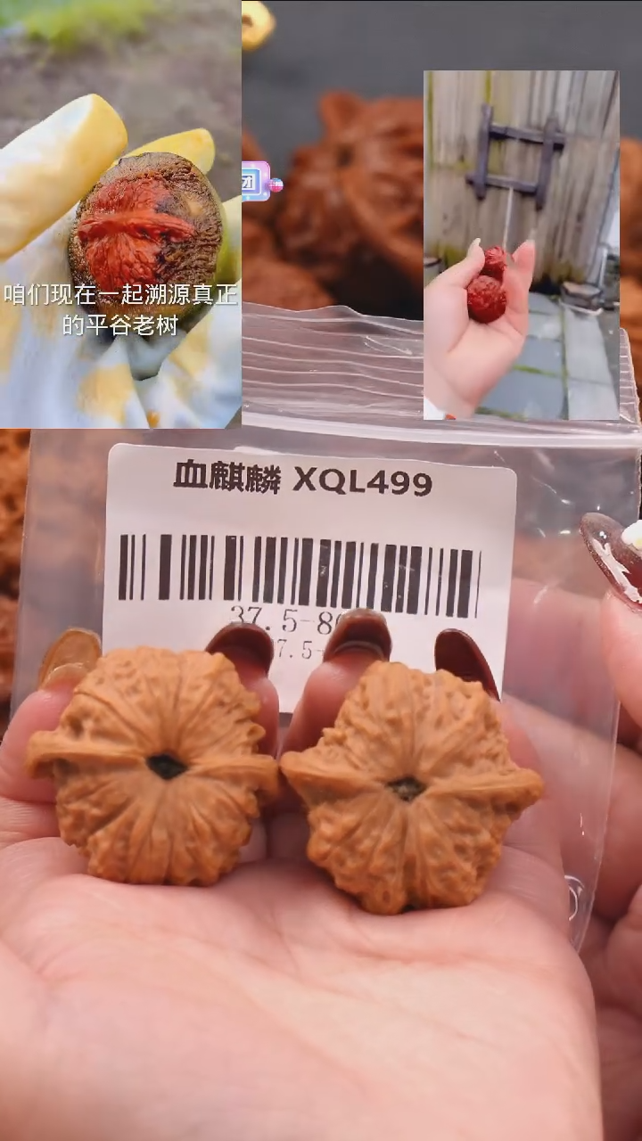 【闪购商品】文玩核桃把件37.5血麒麟狮子头