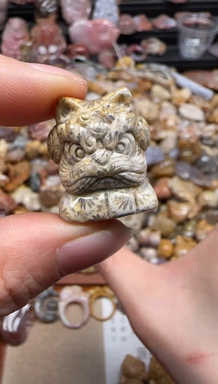 【闪购商品】硅化珊瑚（珊瑚玉）颈饰未镶嵌520