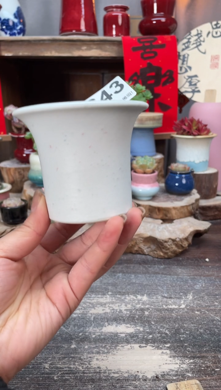 瓷片638知木小芳花盆