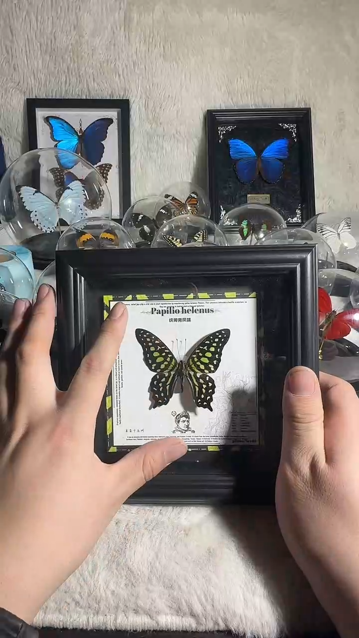 有机玻璃统帅清风  