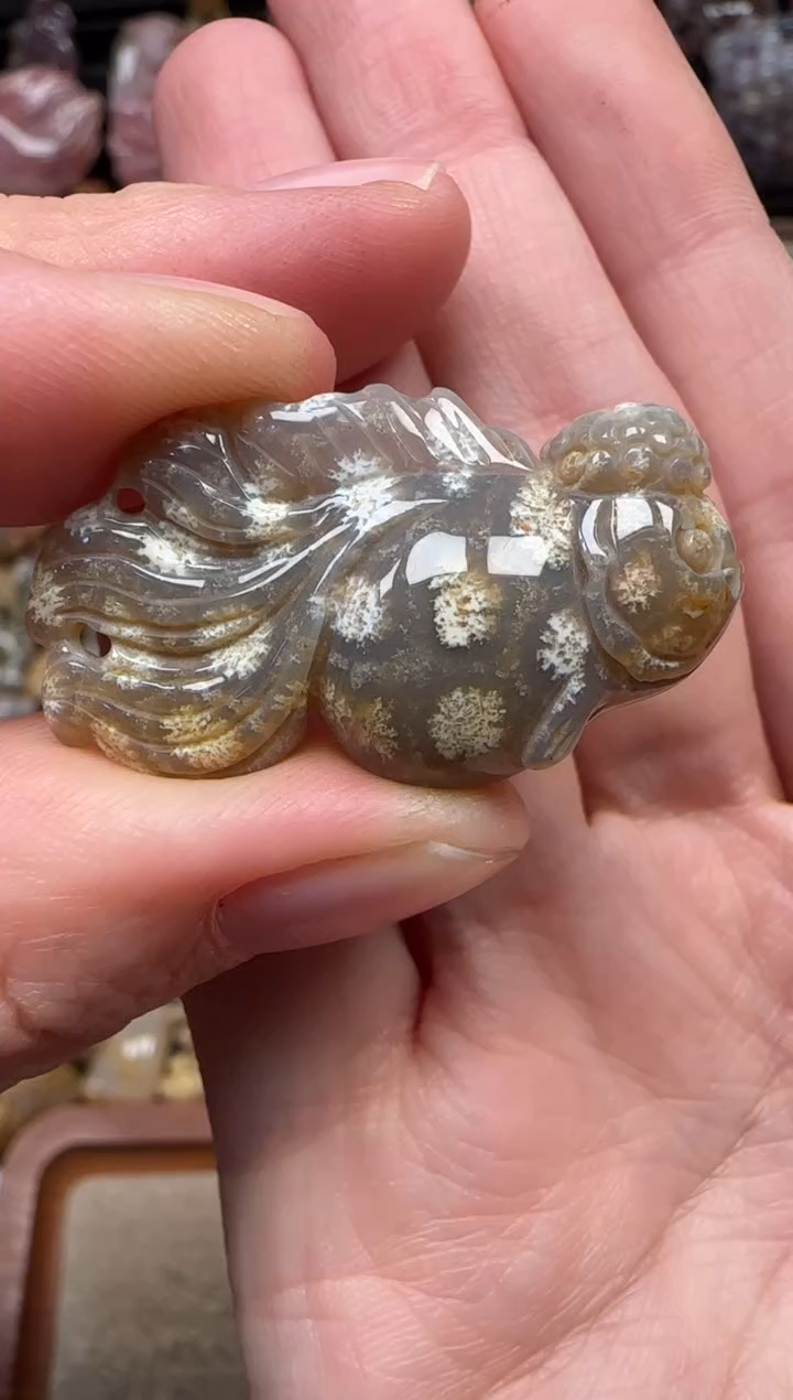 颈饰未镶嵌硅化珊瑚（珊瑚玉）258