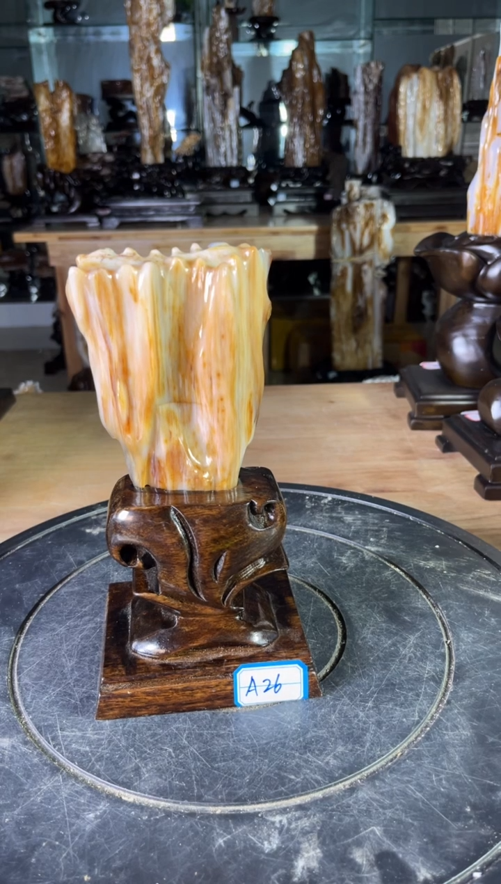 【闪购商品】硅化玉珠宝奇石未镶嵌1