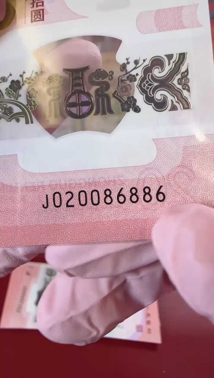 【闪购商品】塑料2025蛇钞单张裸啊啊啊啊啊