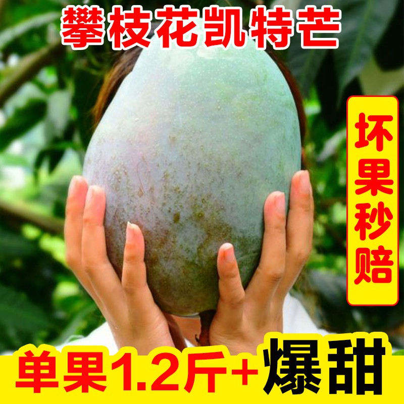 5斤四川攀枝花大果凯特芒新鲜现摘软糯香甜当季水果