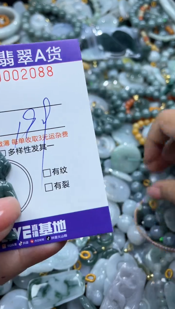 翡翠未镶嵌颈饰02088