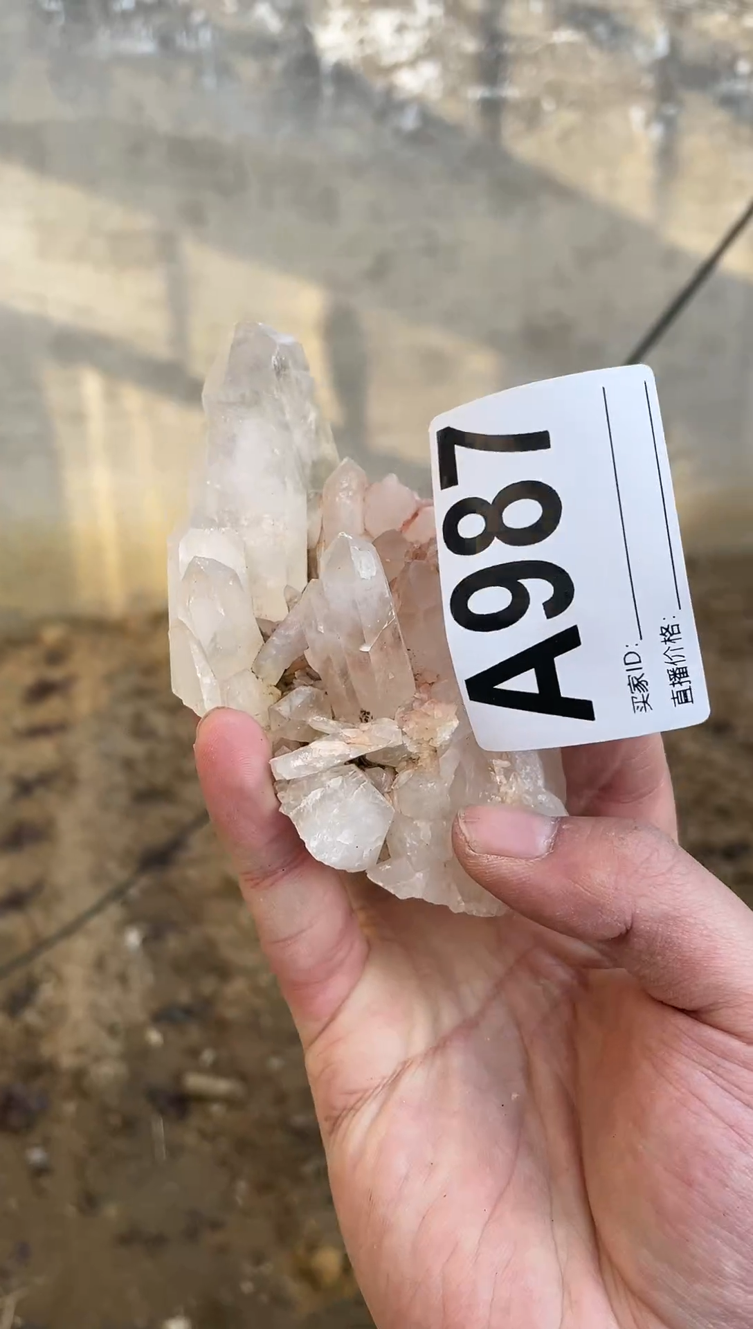 【闪购商品】水晶摆件未镶嵌水晶  987