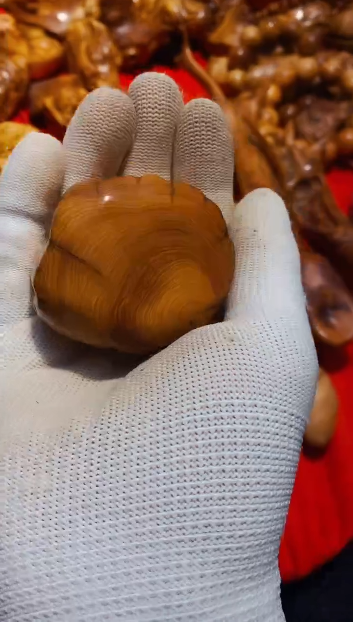 【闪购商品】柏木51崖柏崖柏崖柏