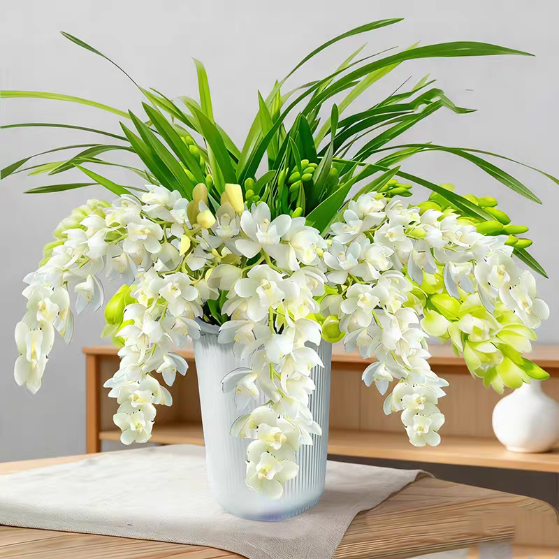 白玉香兰一物一拍年宵花