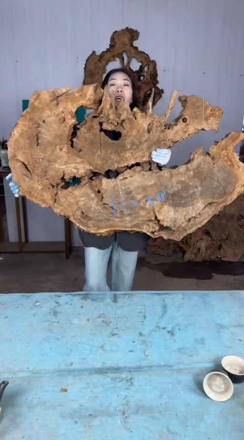 【闪购商品】香杉木木艺杉木瘤随型【原料】024