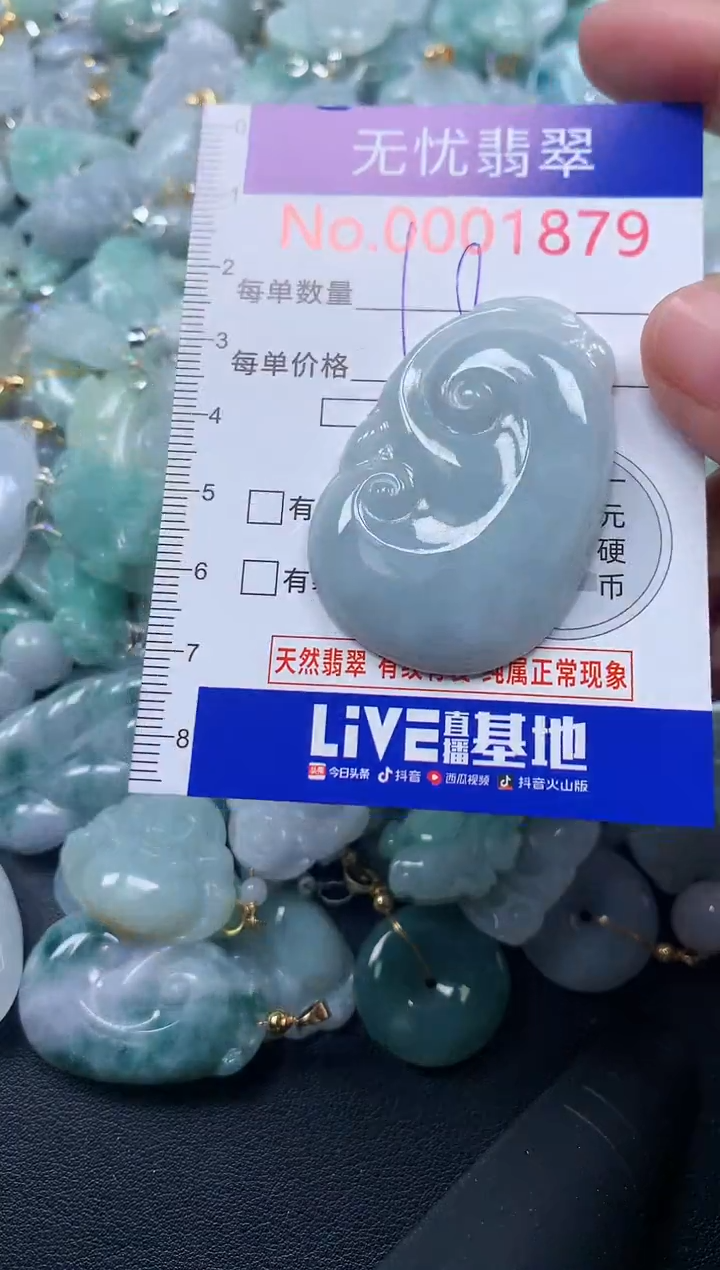 颈饰未镶嵌翡翠1879