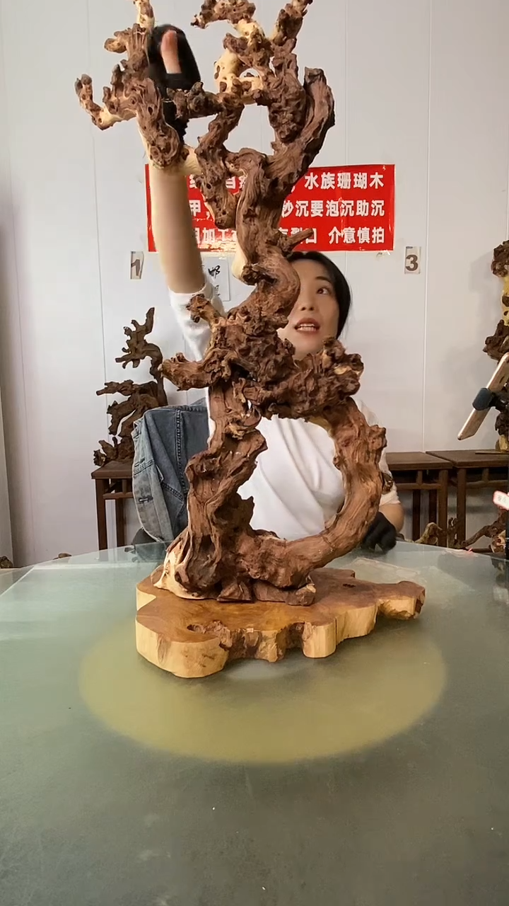 木典****酒金丝红木 羊蹄甲