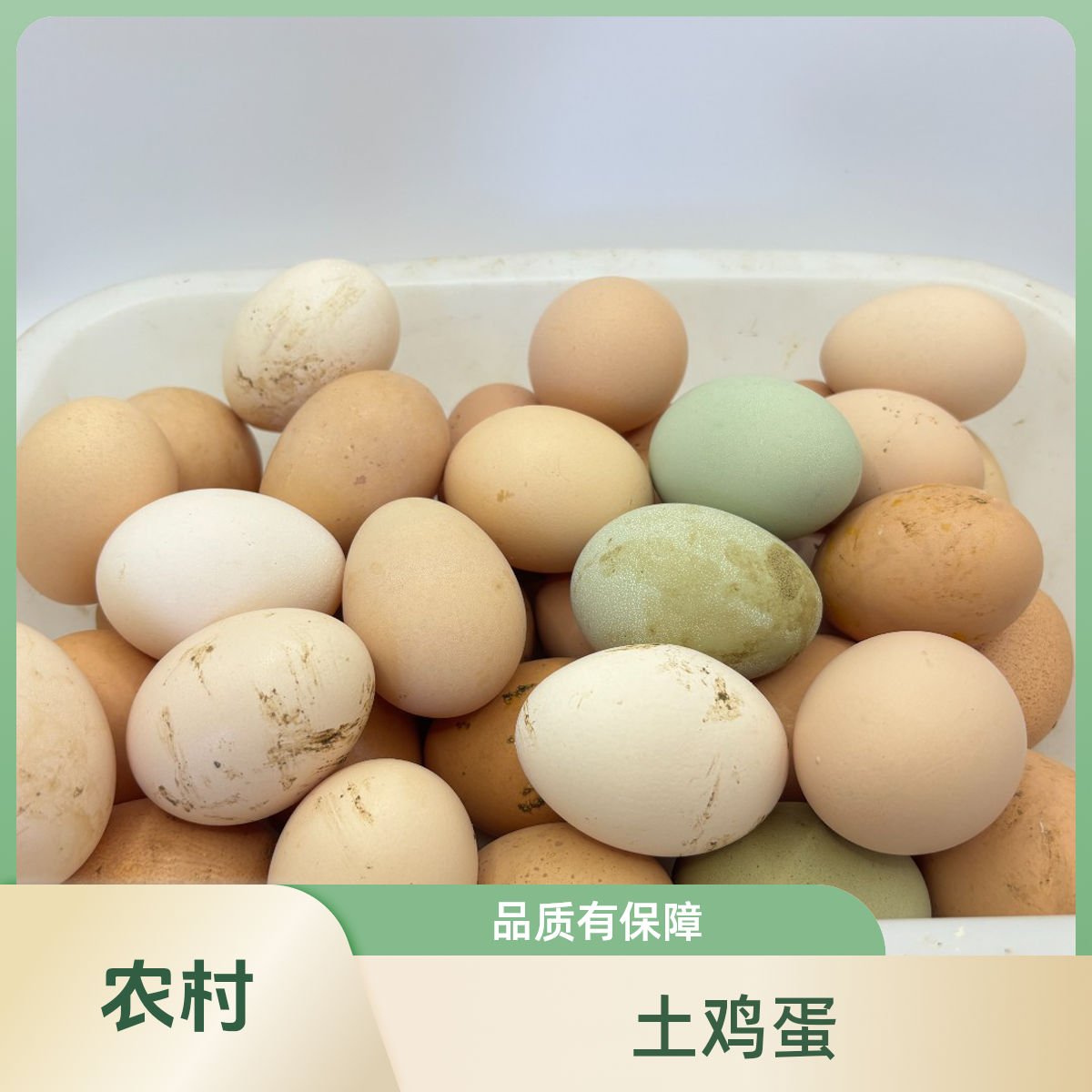 土鸡蛋 阿张农产品30枚/50枚/100枚土鸡蛋  农户家纯粮土鸡蛋