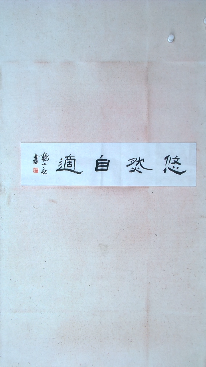 【闪购商品】书法 杨小立河南南阳69*17一平尺