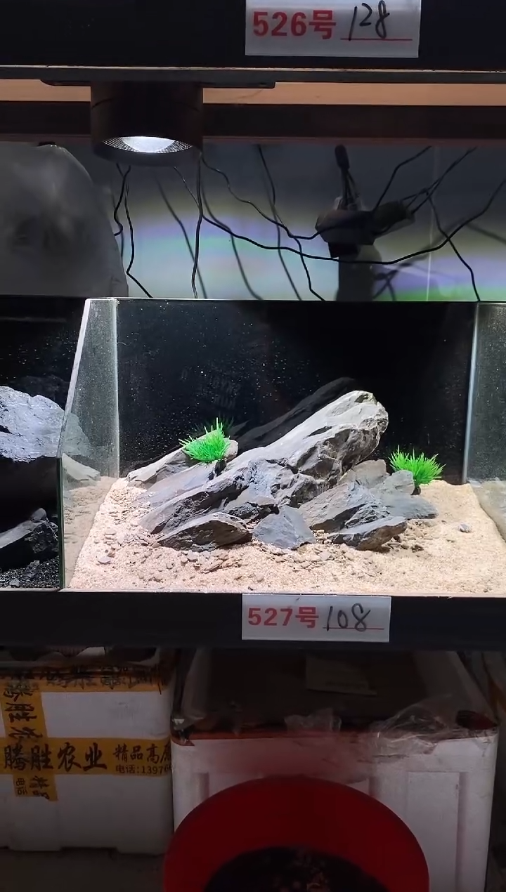 527号鱼缸造景（包含底砂）
