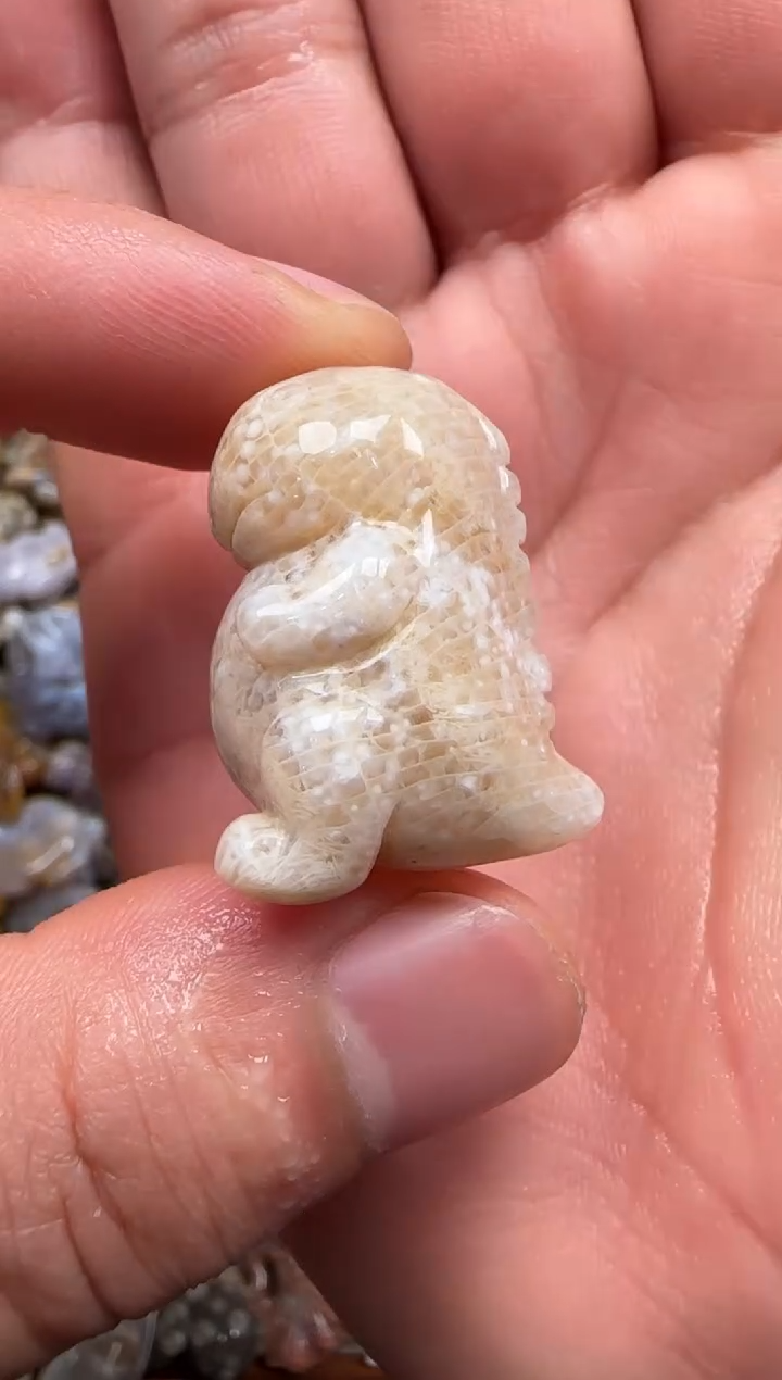 【闪购商品】硅化珊瑚（珊瑚玉）颈饰未镶嵌122