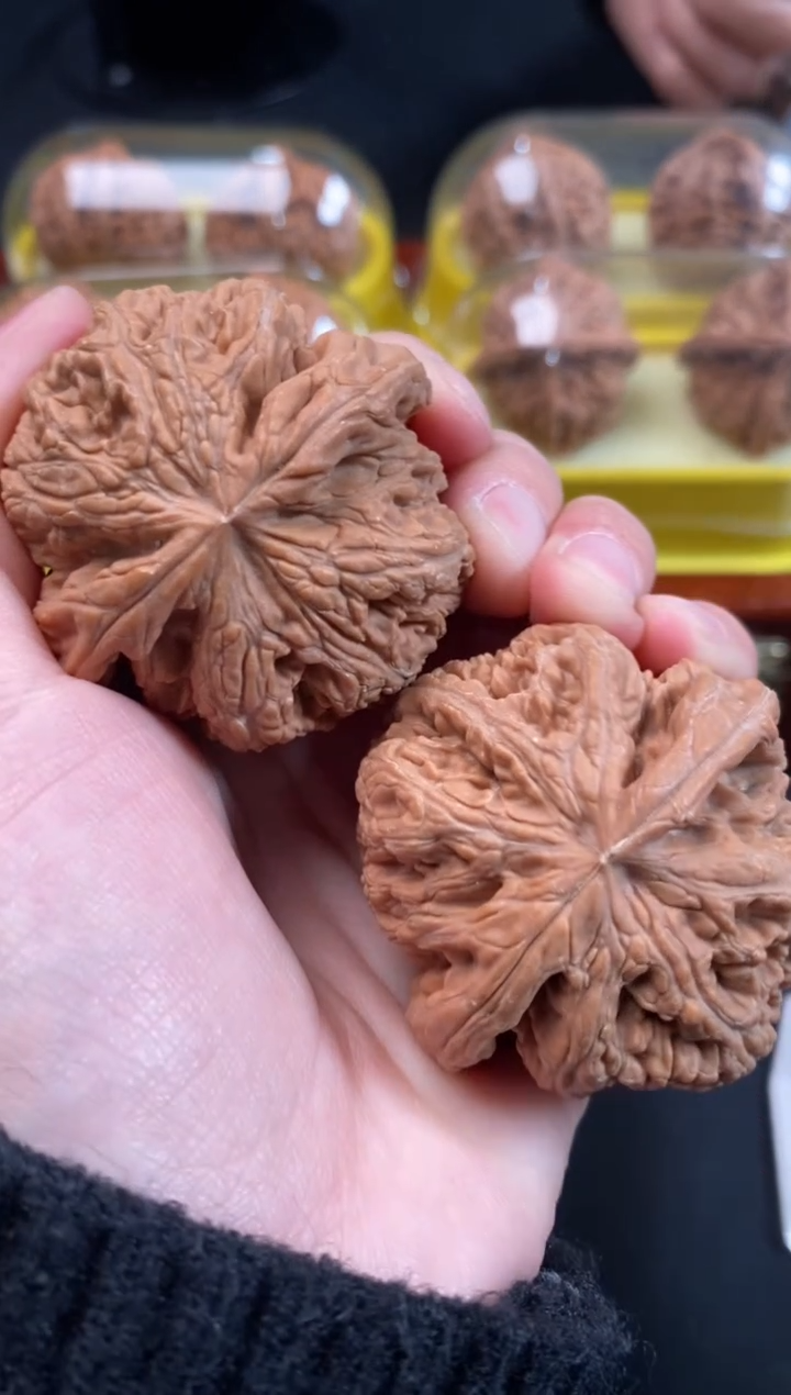 把件文玩核桃阳大粗筋47尺A379