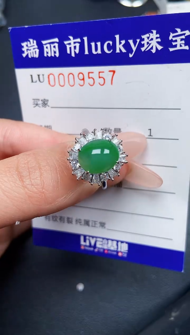 【闪购商品】翡翠颈饰银S925镶嵌9557