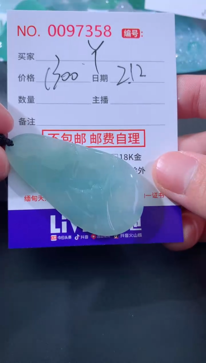 【闪购商品】翡翠颈饰未镶嵌丫