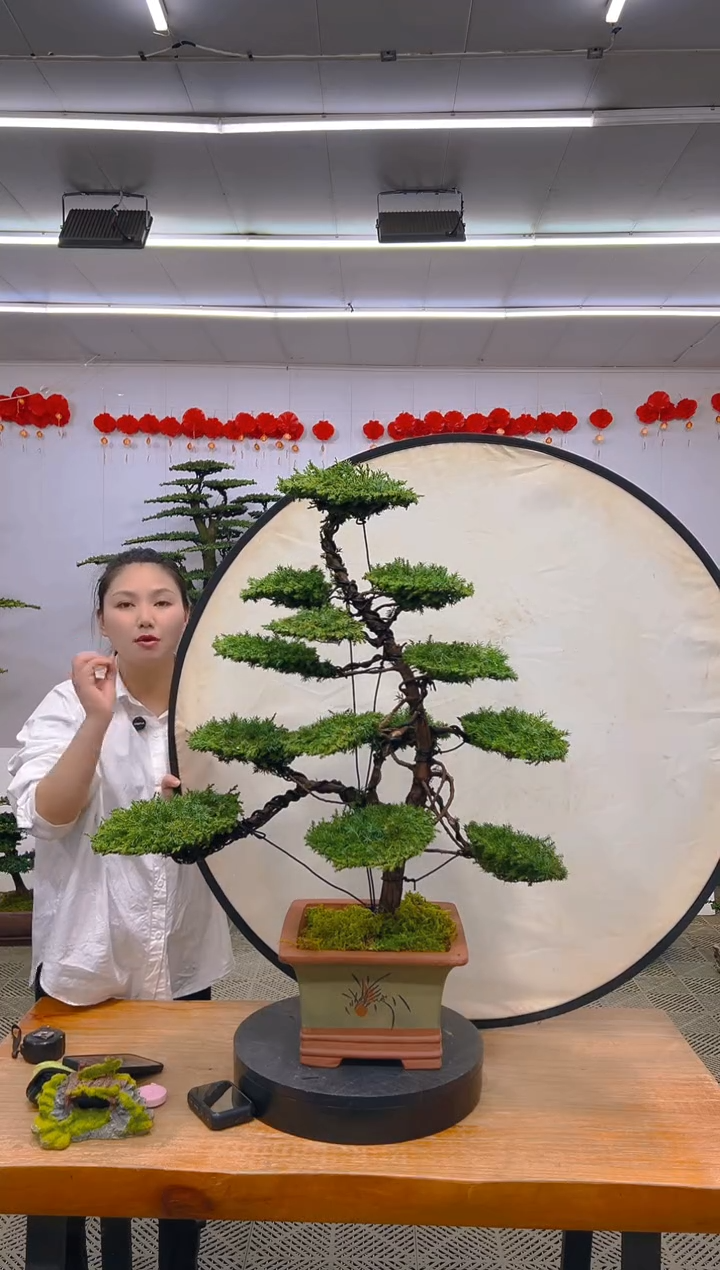 【闪购商品】盆景1