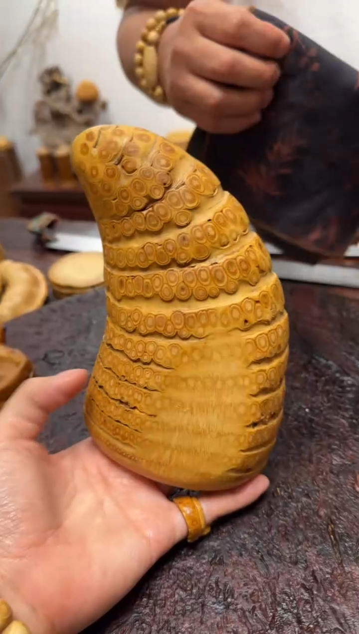 竹1793竹根竹根竹根竹根