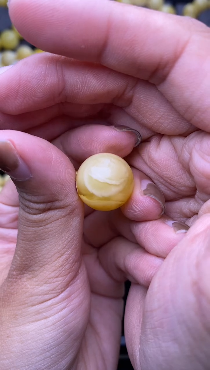 裸石琥珀未镶嵌大小姐珠宝18