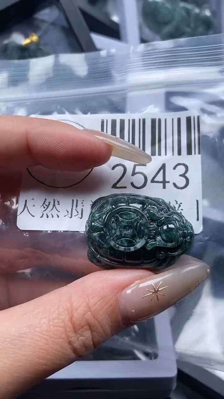 颈饰未镶嵌翡翠2543