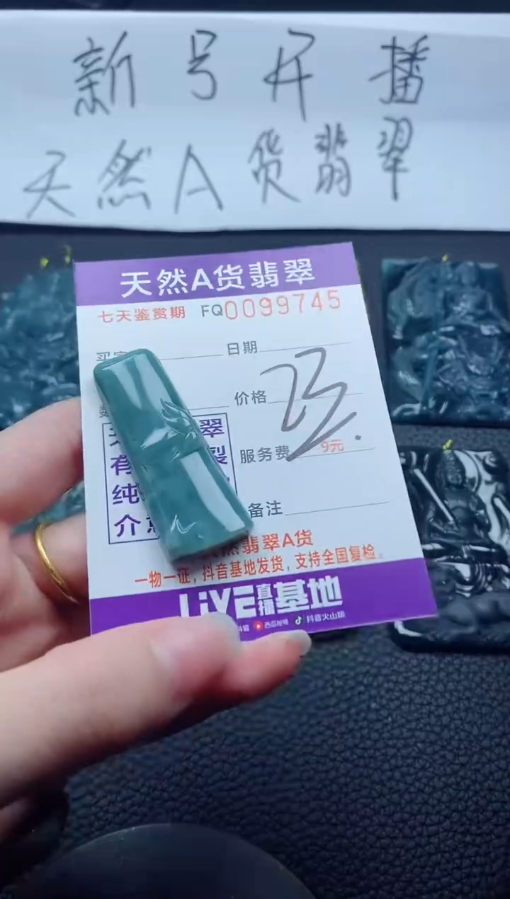 【闪购商品】翡翠颈饰未镶嵌          