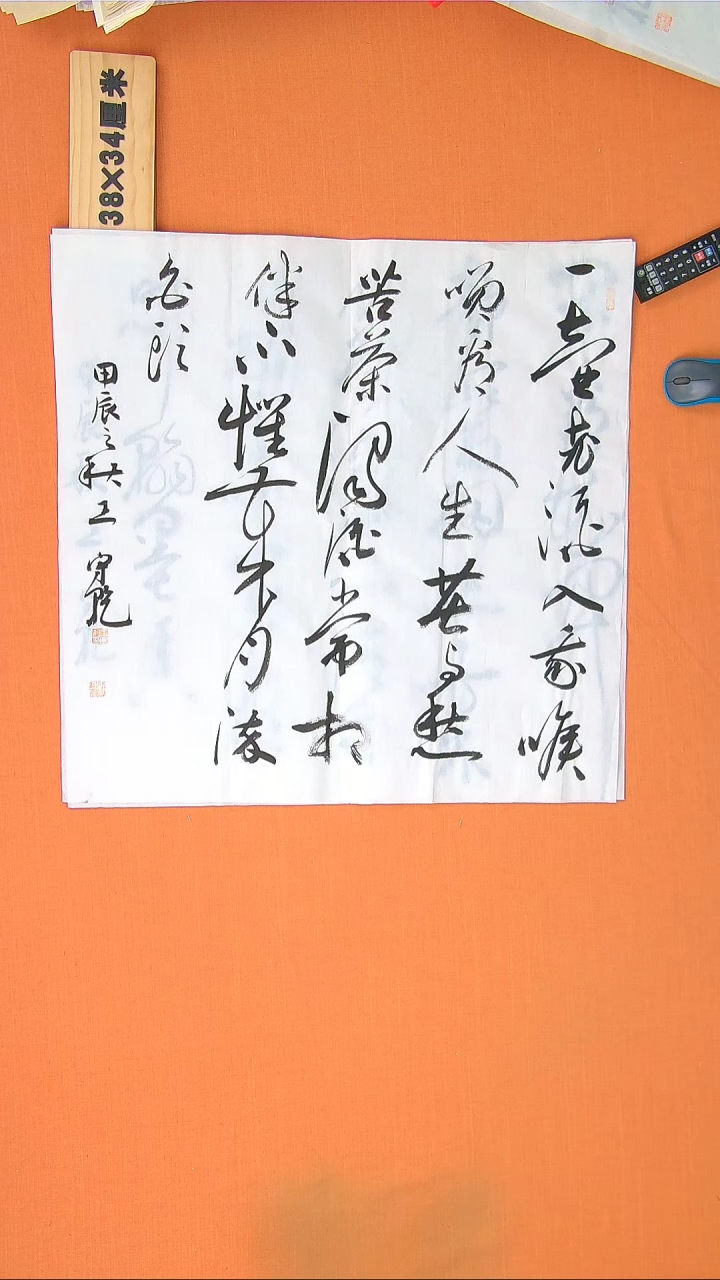 【闪购商品】书法320路老师书法作品