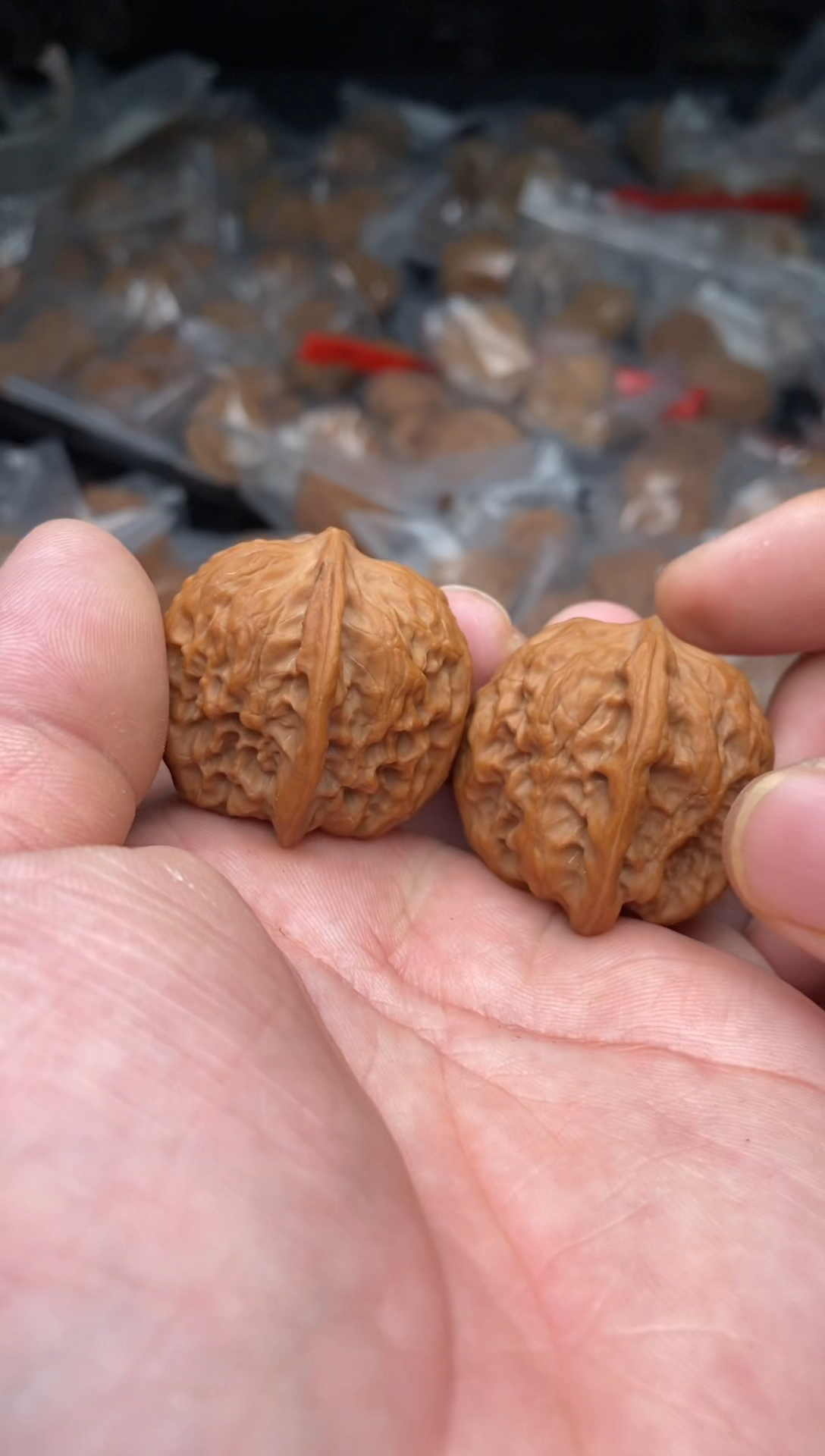 【闪购商品】文玩核桃把件B75号35尺野狼