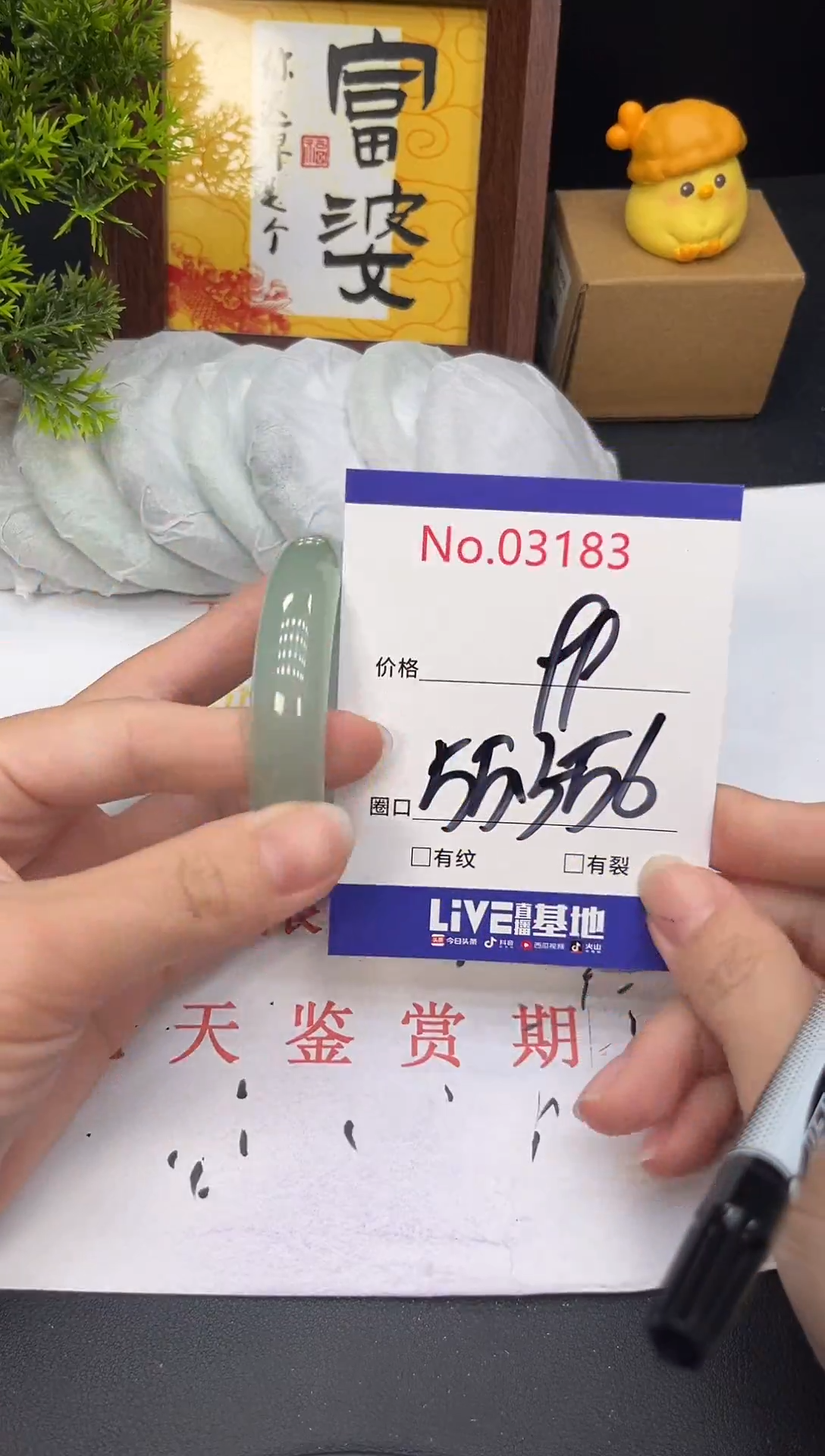 未镶嵌手镯翡翠3183
