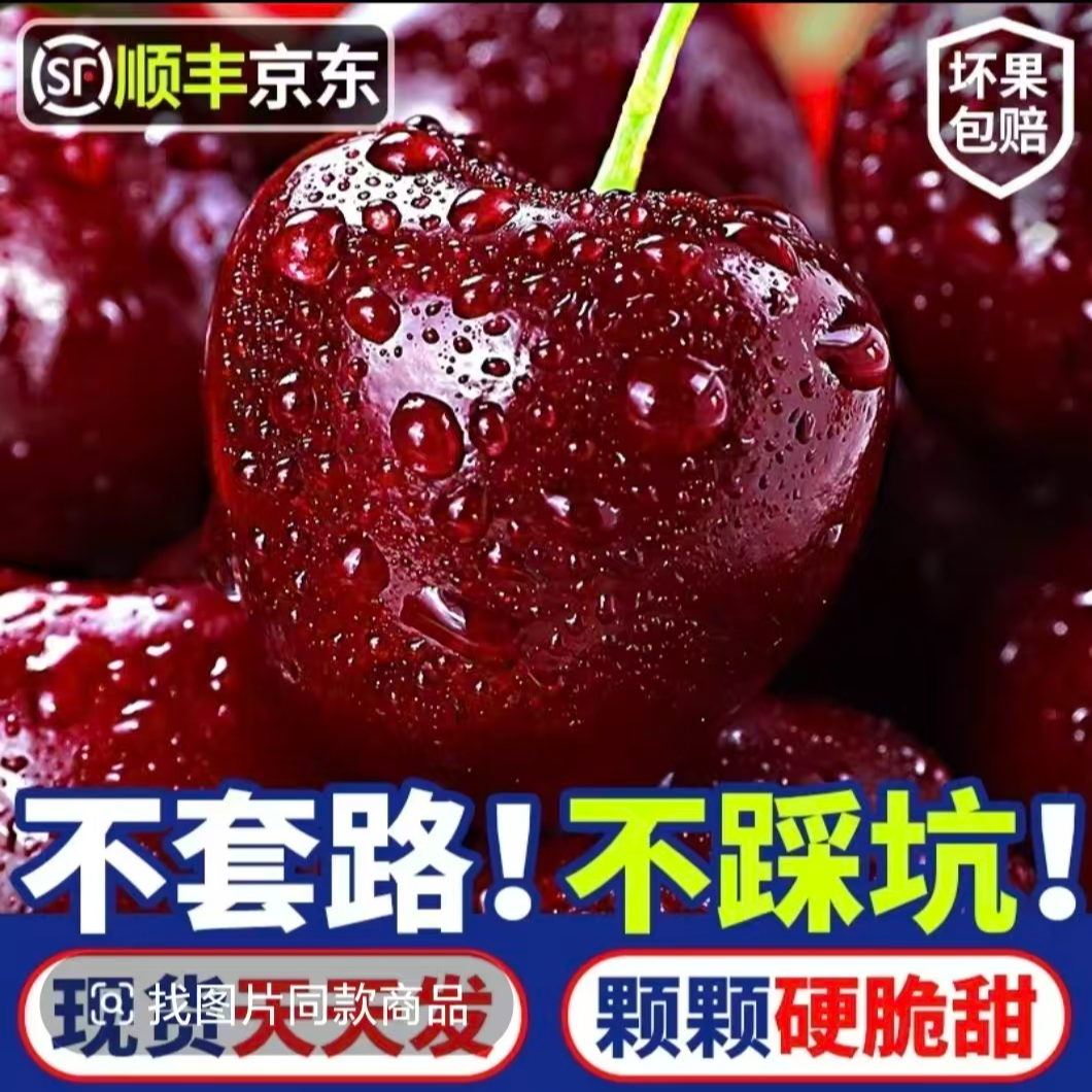 【今天拍明天到】智利进口桑提娜车厘子应季水果脆甜3J/4J大樱桃内附果径卡海运800g桑提娜樱桃智利共和国