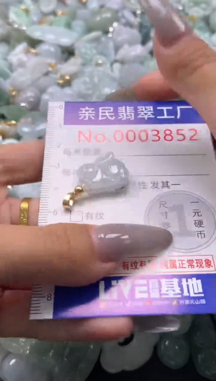 颈饰未镶嵌翡翠3852