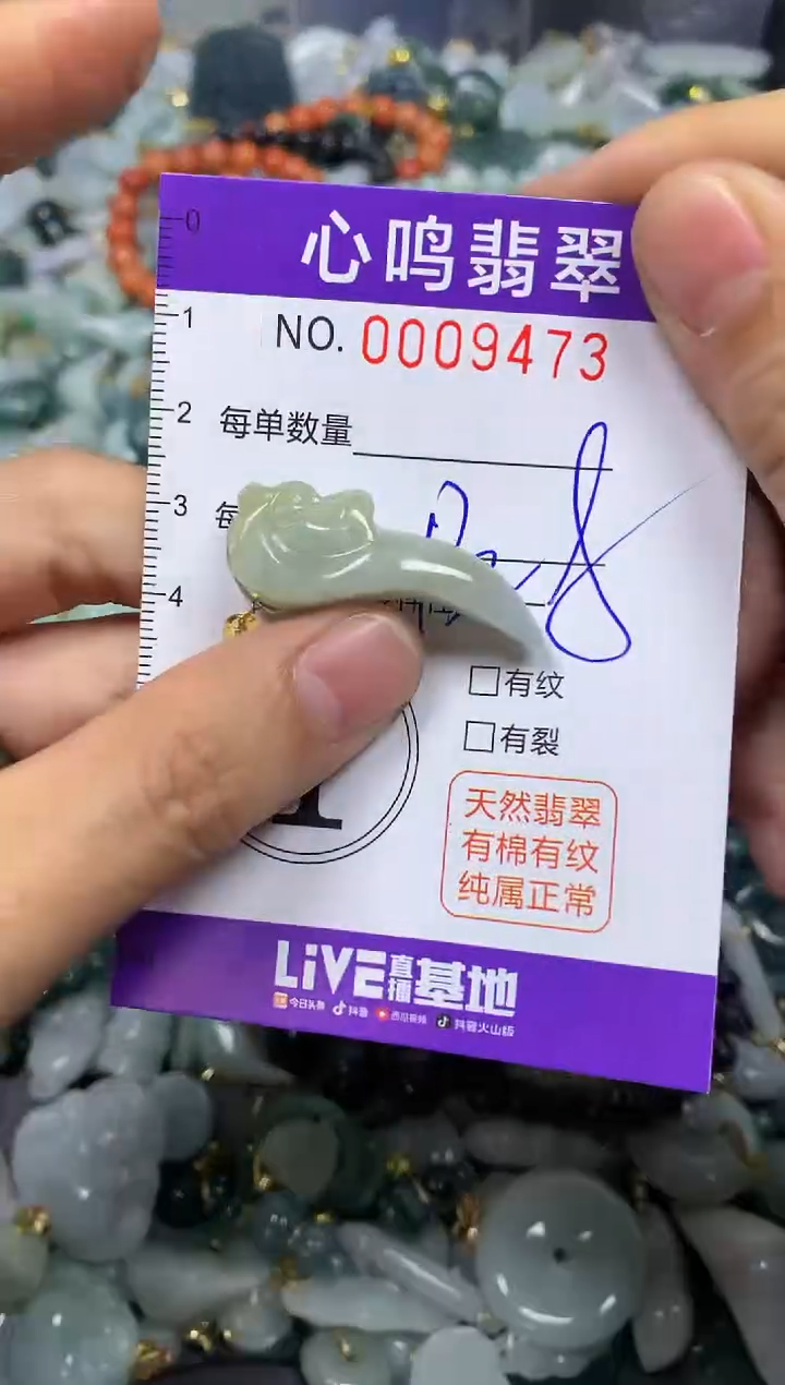 【闪购商品】翡翠颈饰未镶嵌闪购009473