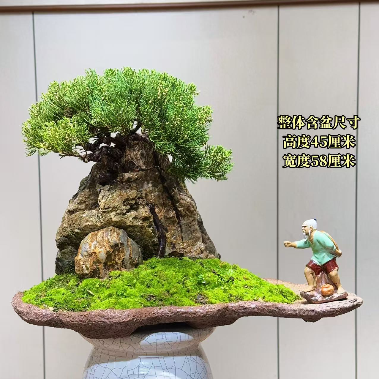 【叶胜园艺】精品九龙壁针柏盆景