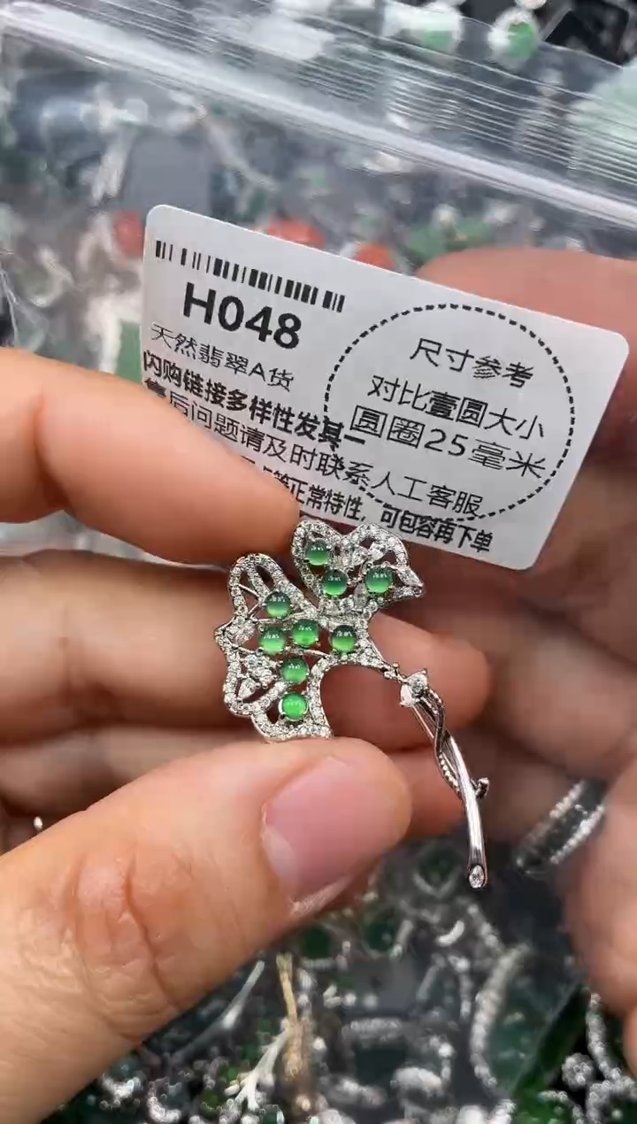 颈饰未镶嵌翡翠H048胸针