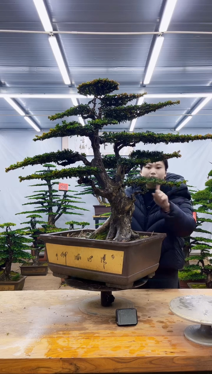 无花朵一物一拍·所见即所得