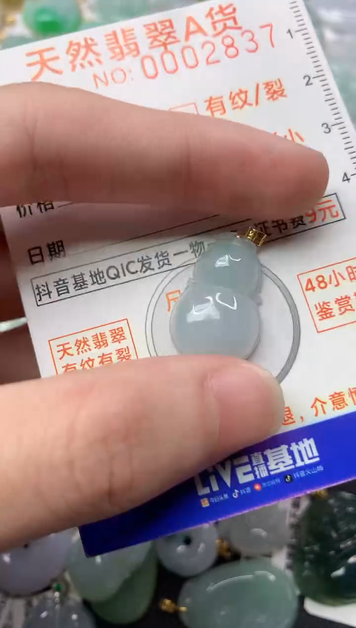 【闪购商品】翡翠颈饰18K金镶嵌9.........