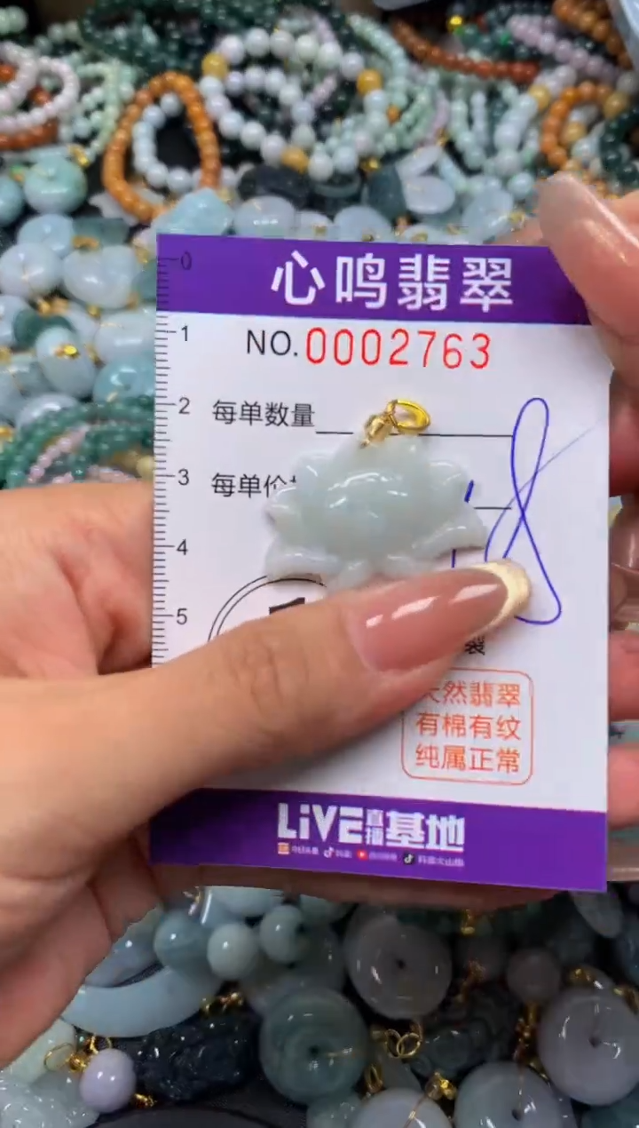 翡翠未镶嵌颈饰闪购002763
