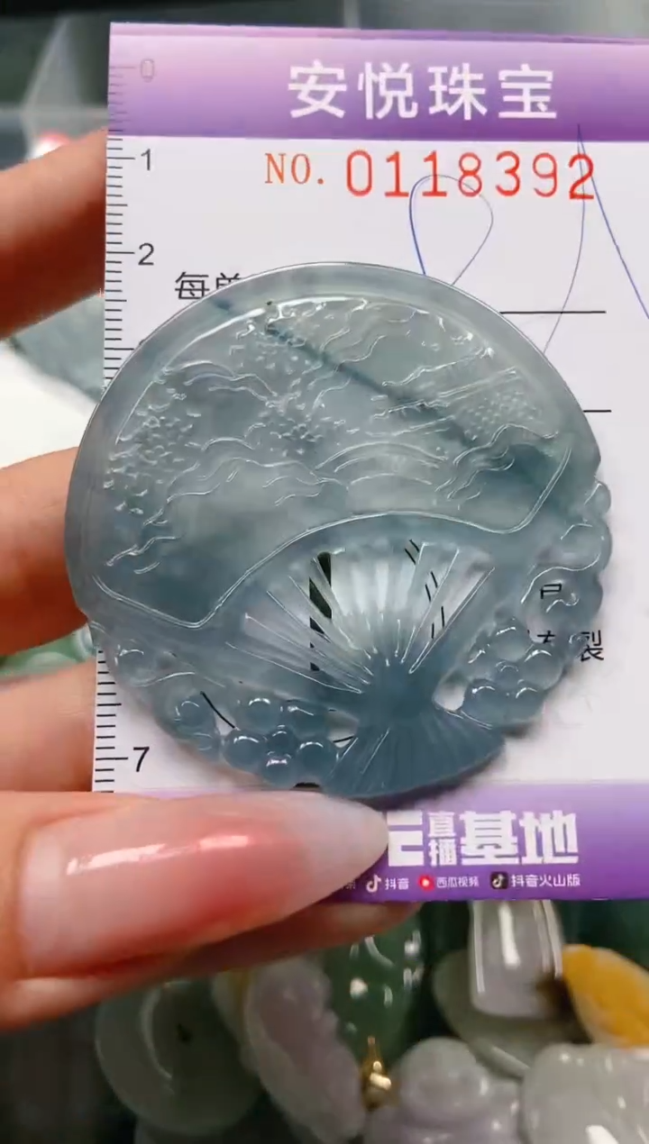 【闪购商品】翡翠颈饰未镶嵌闪购0118392