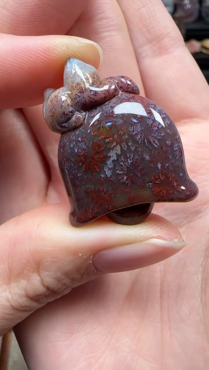 颈饰未镶嵌硅化珊瑚（珊瑚玉）840