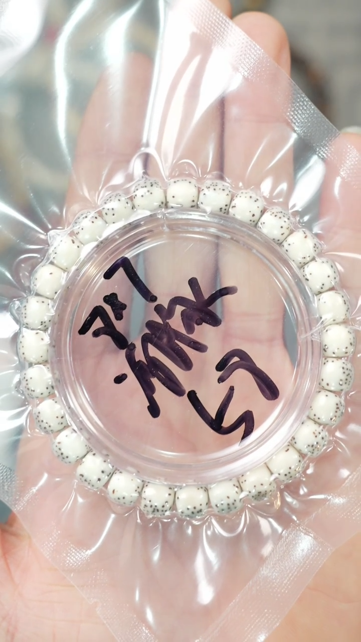 【闪购商品】星月菩提吊坠净庄阁文玩