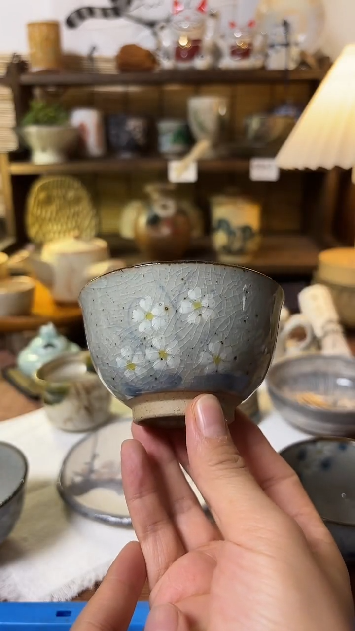 瓷片喵喵家都是大漂亮